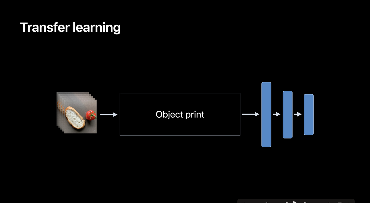 Transfer Learning