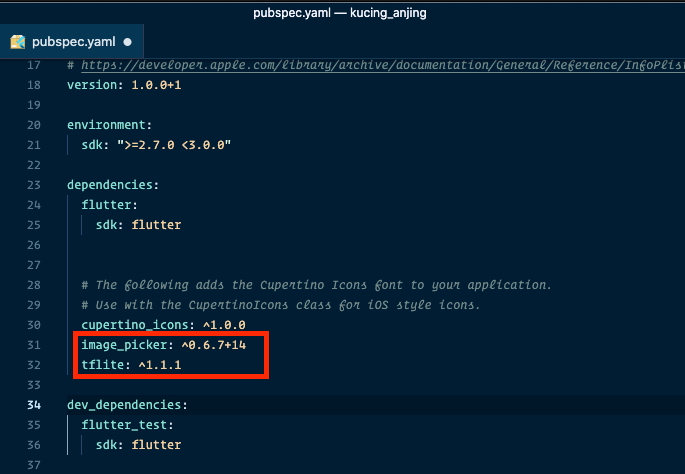 pubspec.yaml