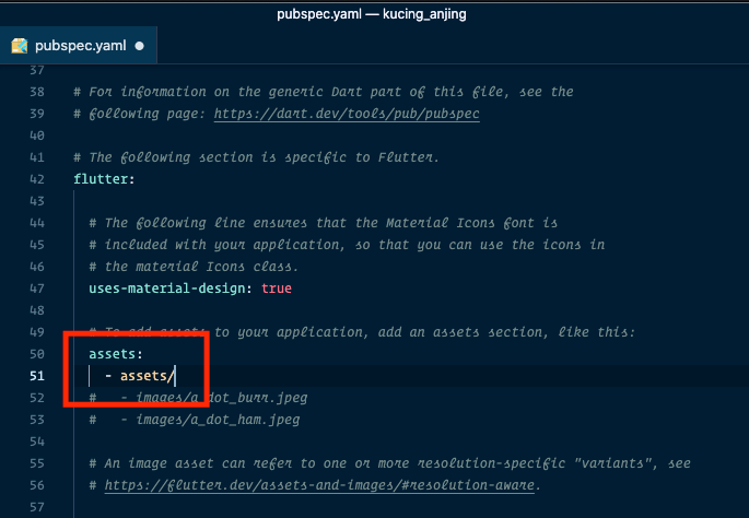 pubspec.yaml